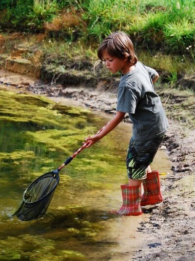 camping vacaf alpes de haute provence